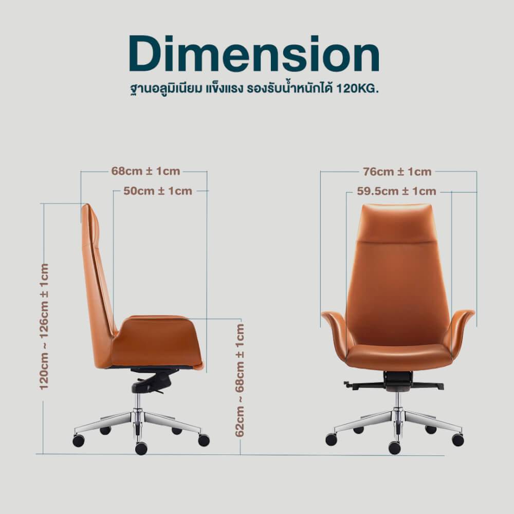 เก้าอี้ผู้บริหารหนังแท้ DF PROCHAIR รุ่น Rise Chair สีน้ำตาล